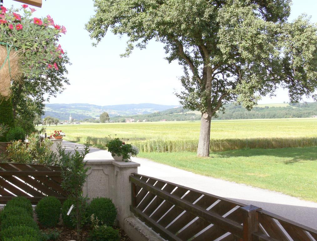 Privatzimmer Und Ferienwohnungen Leeb Persenbeug Esterno foto